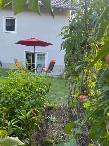 Ferienwohnung Mayer Kirchheim am Ries Esterno foto