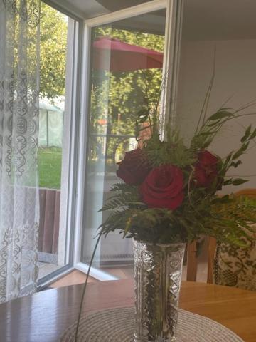 Ferienwohnung Mayer Kirchheim am Ries Esterno foto